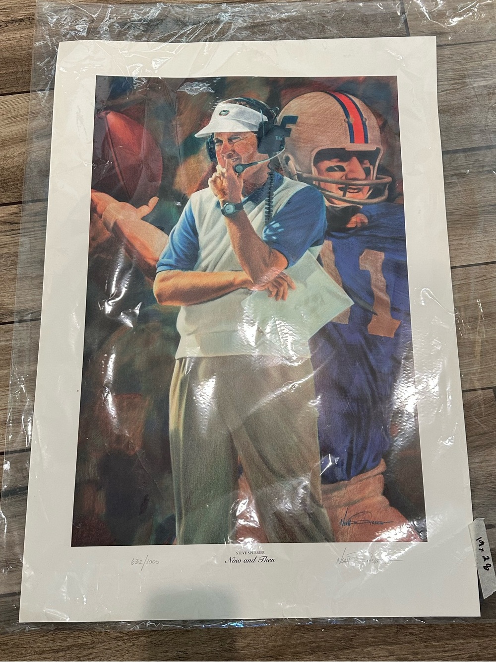 Steve Spurrier Sports-Themed Home Art Print - Blue and White